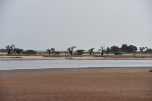 Im Senegal